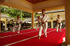 gokoku2010 (119)_samu.gif
